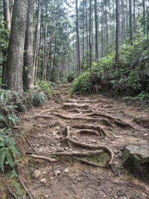 熊野古道